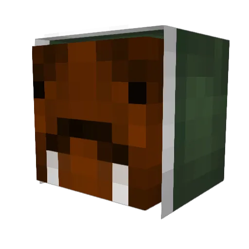 noy75 Minecraft avatar head, 3D render