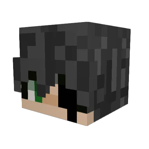 noyangzizle Minecraft avatar head, 3D render