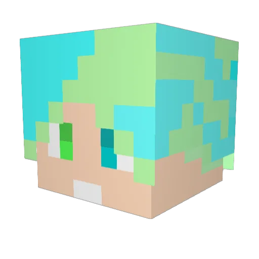 noyd_1111 Minecraft avatar head, 3D render