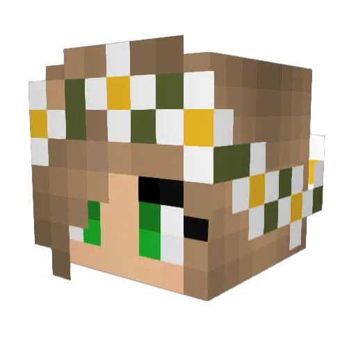 noyrdt Minecraft avatar head, 3D render