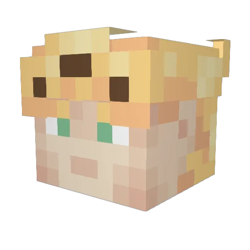 nozagleh Minecraft avatar head, 3D render