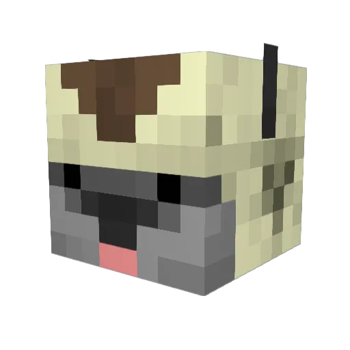nozukes Minecraft avatar head, 3D render