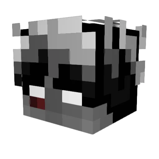 np204 Minecraft avatar head, 3D render