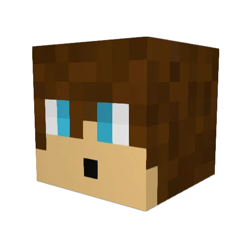 np704 Minecraft avatar head, 3D render
