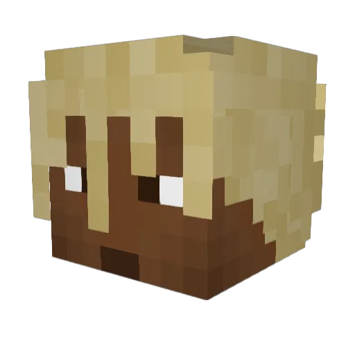 npaxton007 Minecraft avatar head, 3D render
