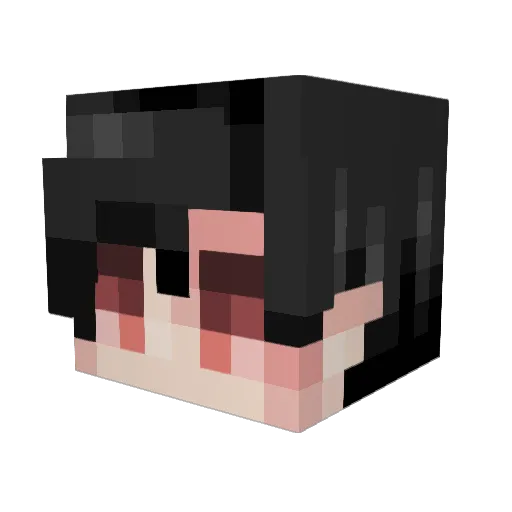 npcskin1 Minecraft avatar head, 3D render