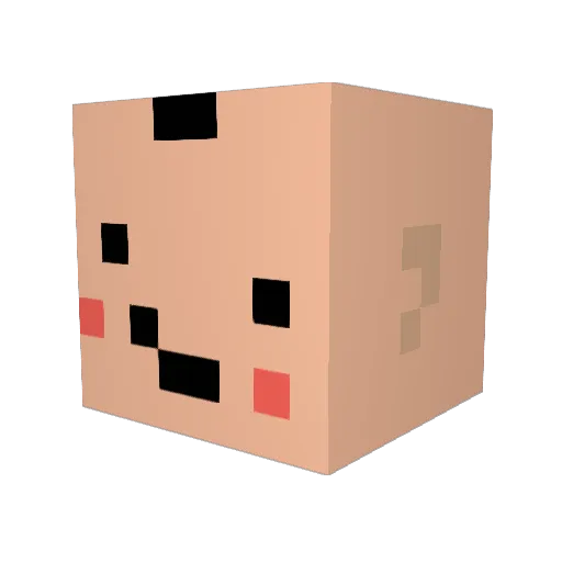 npctkg Minecraft avatar head, 3D render