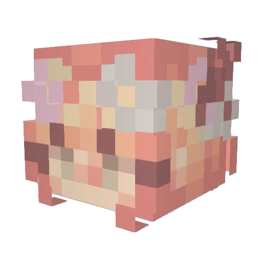 npunch3 Minecraft avatar head, 3D render