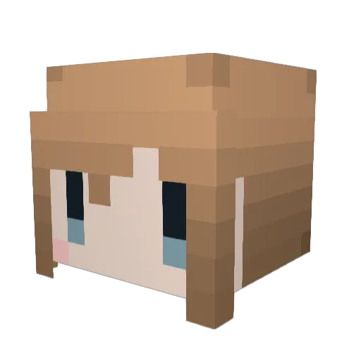 npyo Minecraft avatar head, 3D render