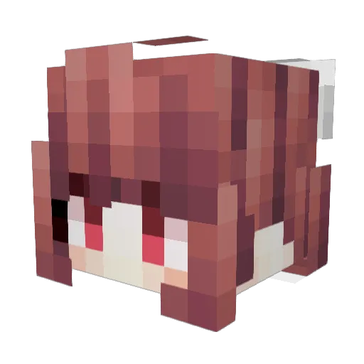 nqadhgg Minecraft avatar head, 3D render