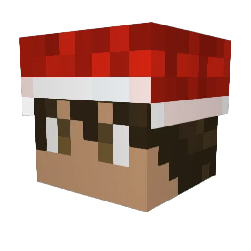 nqma666 Minecraft avatar head, 3D render