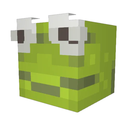 nqoXis Minecraft avatar head, 3D render