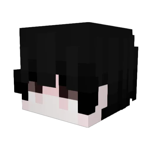 nqsz Minecraft avatar head, 3D render