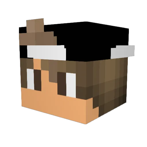 nqturaly Minecraft avatar head, 3D render