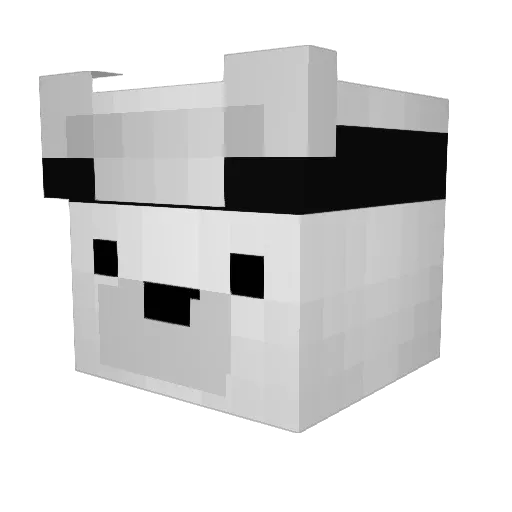nquix1256 Minecraft avatar head, 3D render