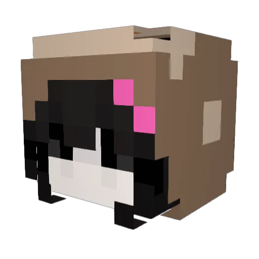 nqvacane Minecraft avatar head, 3D render