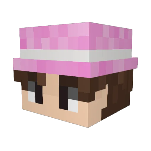 nqvs_ Minecraft avatar head, 3D render