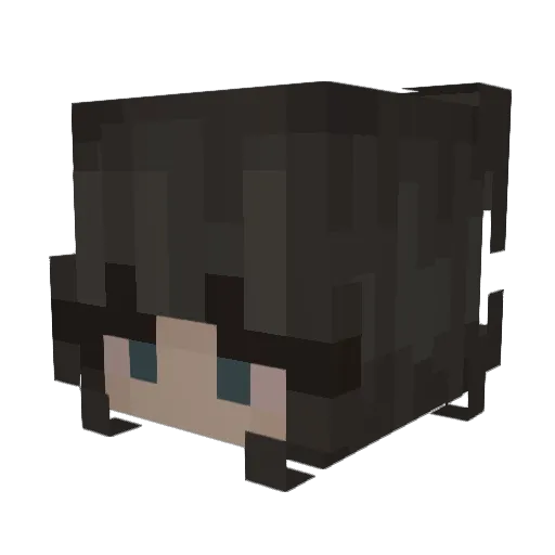 nrbi Minecraft avatar head, 3D render