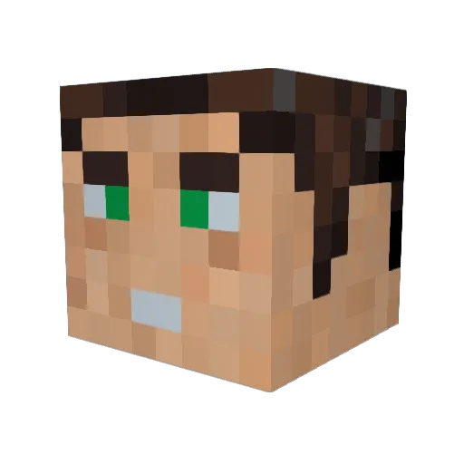nrichar2 Minecraft avatar head, 3D render