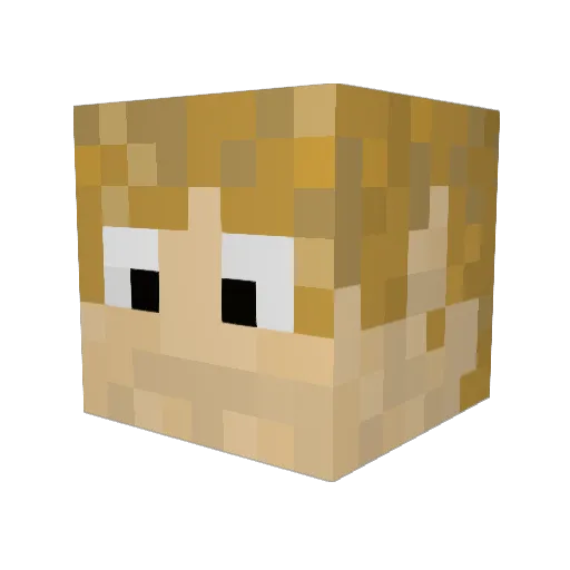 nrobison4 Minecraft avatar head, 3D render