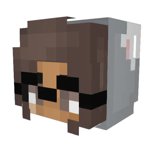 nrosaplays Minecraft avatar head, 3D render
