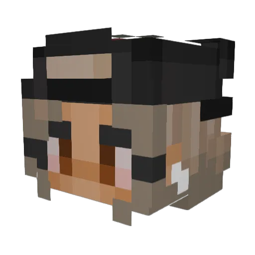 nroyix Minecraft avatar head, 3D render