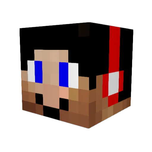ns270802 Minecraft avatar head, 3D render