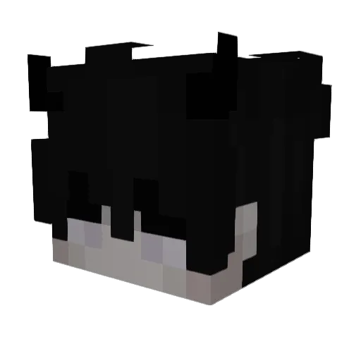 nsTzaox Minecraft avatar head, 3D render