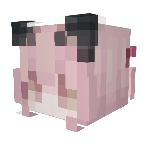 nshc Minecraft avatar head, 3D render