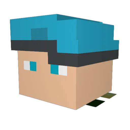 nsi1409 Minecraft avatar head, 3D render