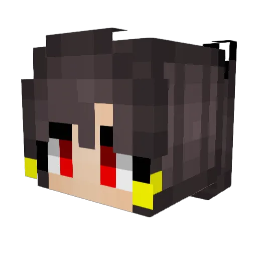 nsig97 Minecraft avatar head, 3D render