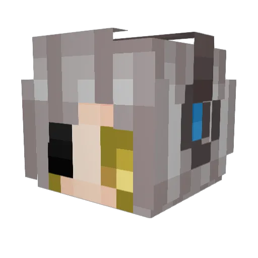 nskywalker89 Minecraft avatar head, 3D render
