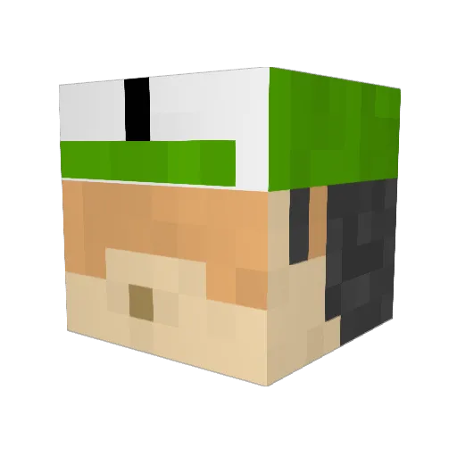 nslr33 Minecraft avatar head, 3D render