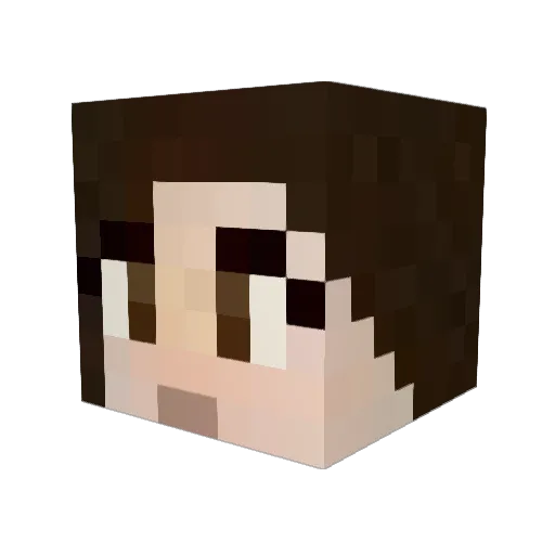 nsm21 Minecraft avatar head, 3D render