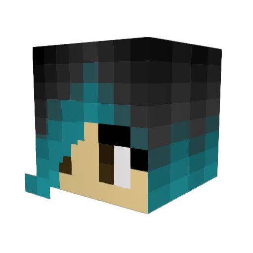 nsmloz Minecraft avatar head, 3D render