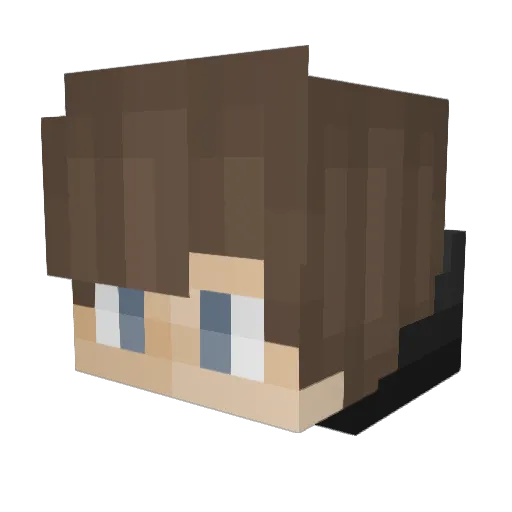 nsn_275 Minecraft avatar head, 3D render