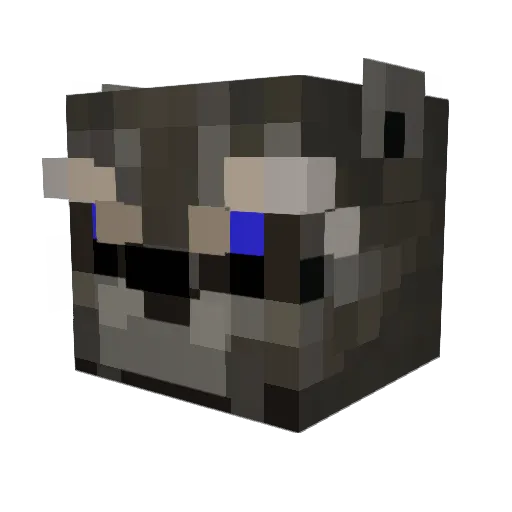 nsp4 Minecraft avatar head, 3D render
