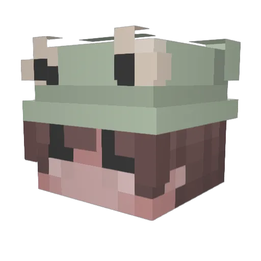 nssIW Minecraft avatar head, 3D render