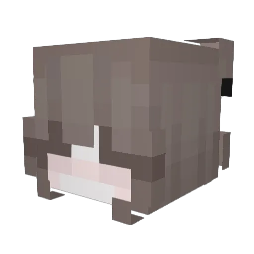 nssie Minecraft avatar head, 3D render