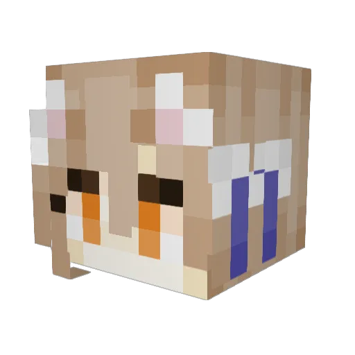 nswisgo Minecraft avatar head, 3D render