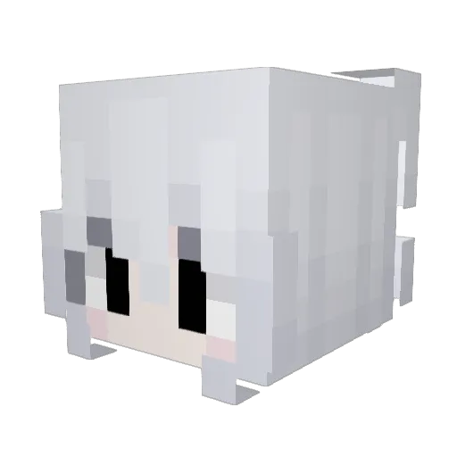 ntaith4 Minecraft avatar head, 3D render