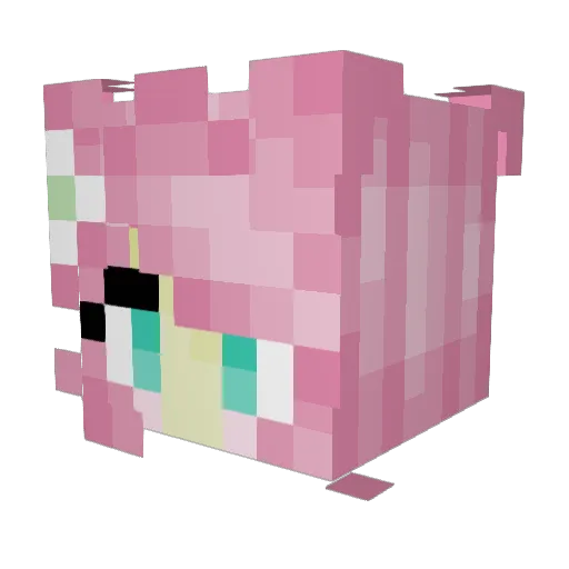 ntal1012 Minecraft avatar head, 3D render