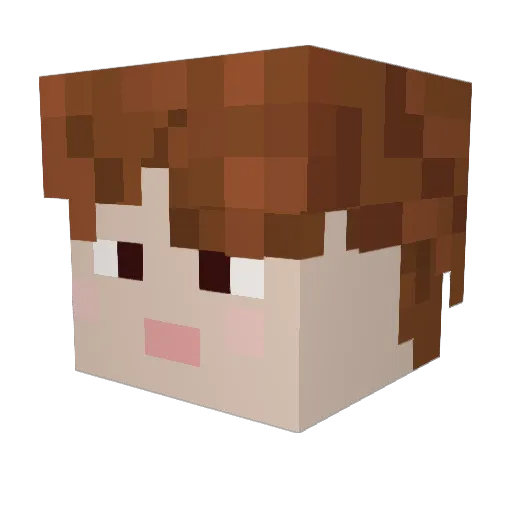 ntchaps Minecraft avatar head, 3D render