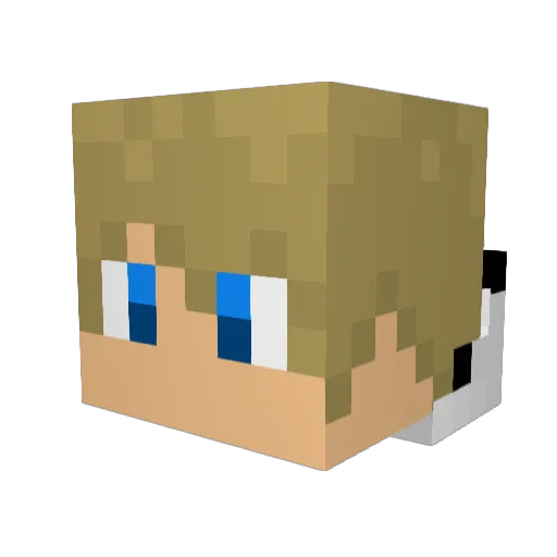 ntdisaster Minecraft avatar head, 3D render
