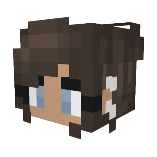 nted Minecraft avatar head, 3D render