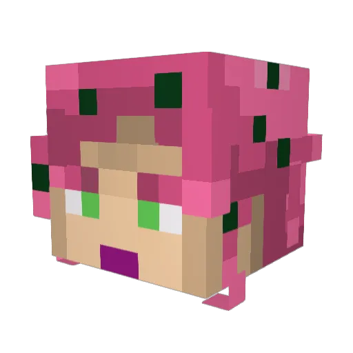 nthTerm Minecraft avatar head, 3D render