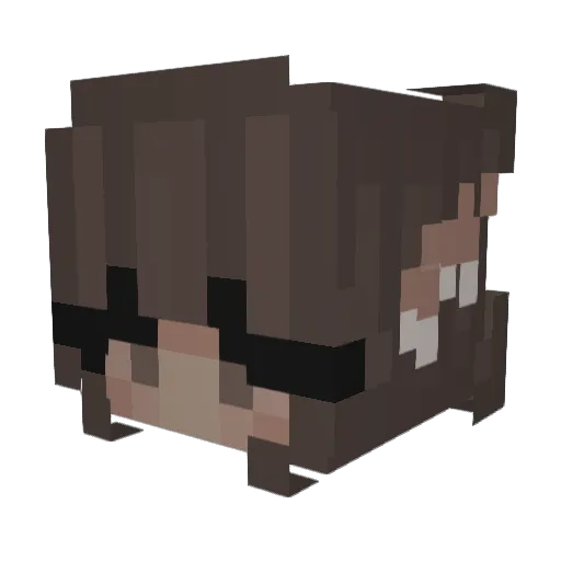 ntltc_swt Minecraft avatar head, 3D render