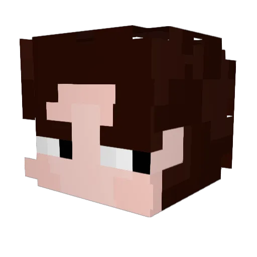 nty__ Minecraft avatar head, 3D render