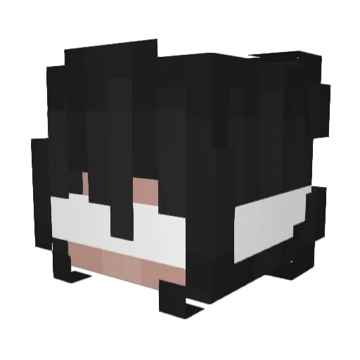 ntyw Minecraft avatar head, 3D render