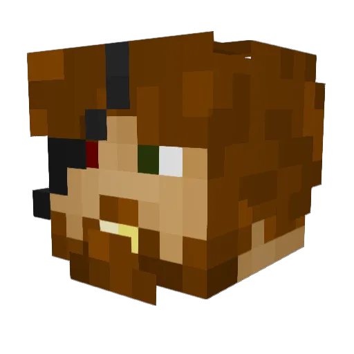 nubcakes44 Minecraft avatar head, 3D render